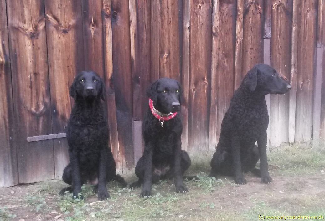 Kurzbesuch von Anna-Lotte