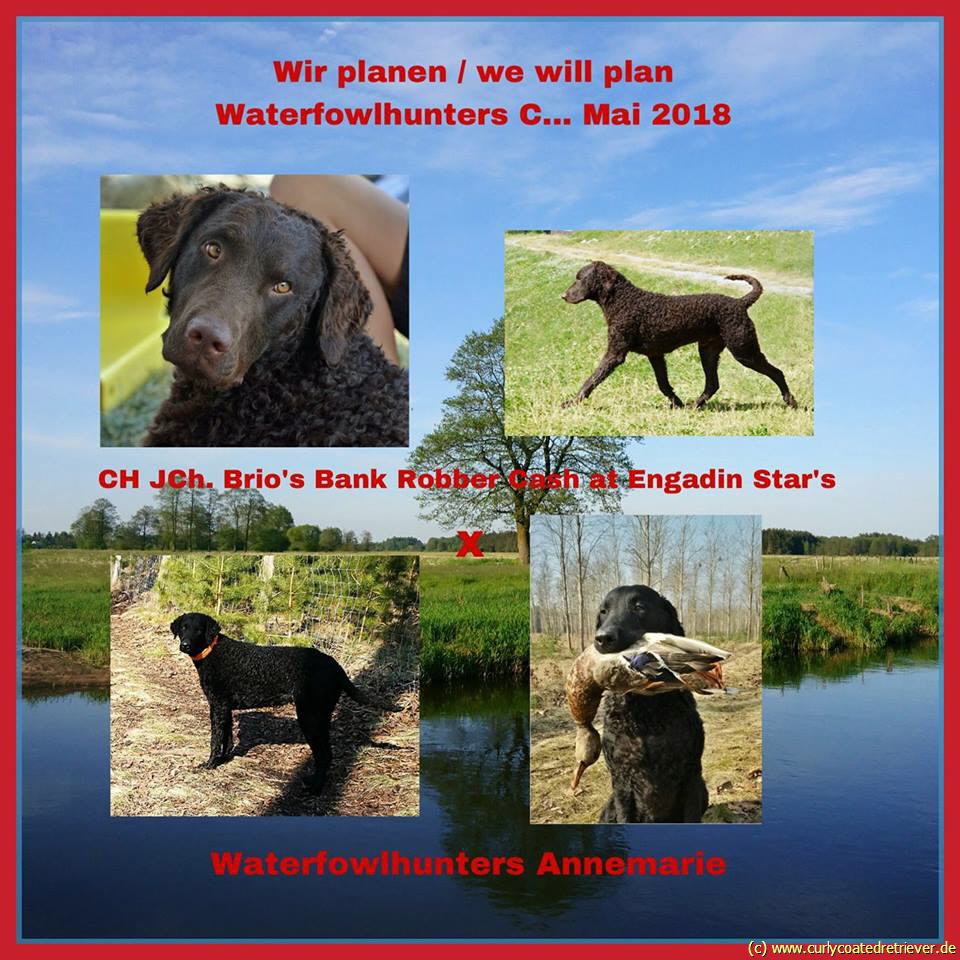 Annemarie ist endlich läufig!!!!